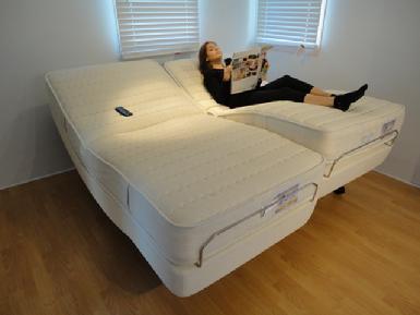 PICTURE OF DUAL KING ELECTROPEDIC BEDS